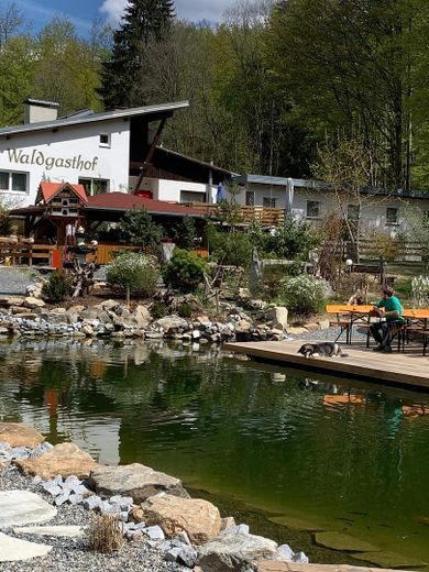 Blick über den neuen Teich