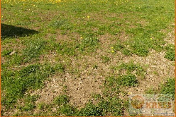 Terreno edificabile pianeggiante urbanizzato a Steinau-Hintersteinau incl. allacciamento domestico alle acque reflue e all'acqua