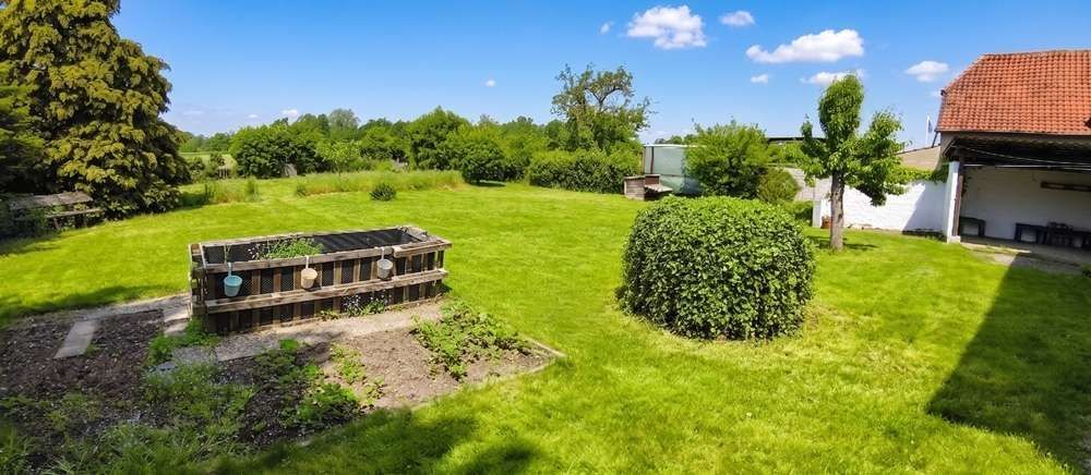 Edemissen - Wehnsen - großzügiges Zweifamilienhaus mit Nebengebäude und Garagen – Garten