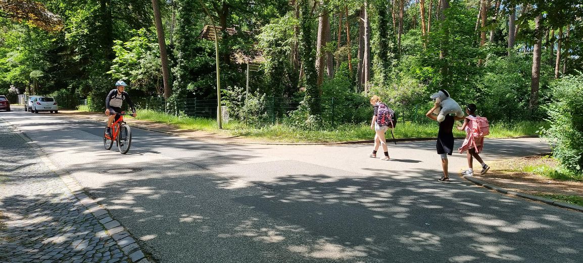 Große sonnige Dachgeschosswohnung -  Ruhige Villenlage - Südloggia - ca. 20 Min. zum Hauptbahnhof – Ruhige Zufahrt zum Ulenweg