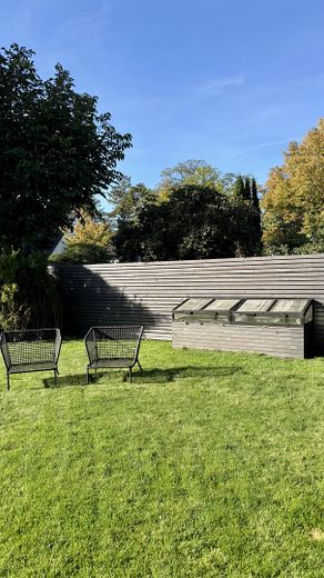 Garten mit Gewächshaus