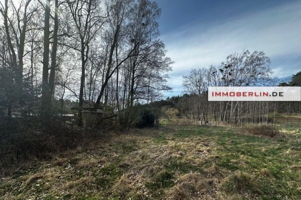 IMMOBERLIN.DE - Großes Wiesen-/Freizeitgrundstück mit Umwidmungspotential für Bauland