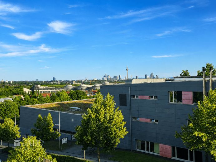 Urbanes Wohnen mit Skylineblick - modernes Wohnen am Frankfurter Riedberg – Blick vom Balkon