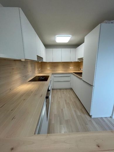 Rheinfelden- Nollingen Appartamento maisonette (incl. posto auto in autorimessa sotterranea e cucina arredata) – Küche 2