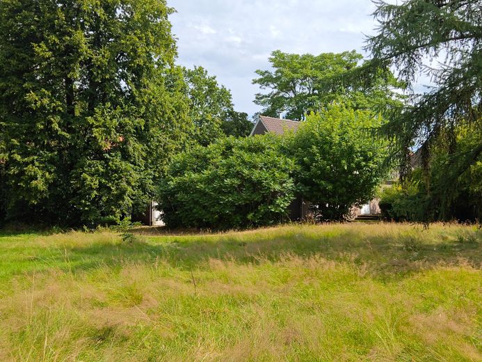 Ehemaliges Pfarrhaus in Oldenstadt zu verkaufen – Gartenansicht Südwest