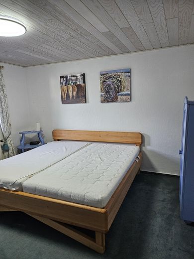 Alpaka çiftliği – SZ Gästewohnung