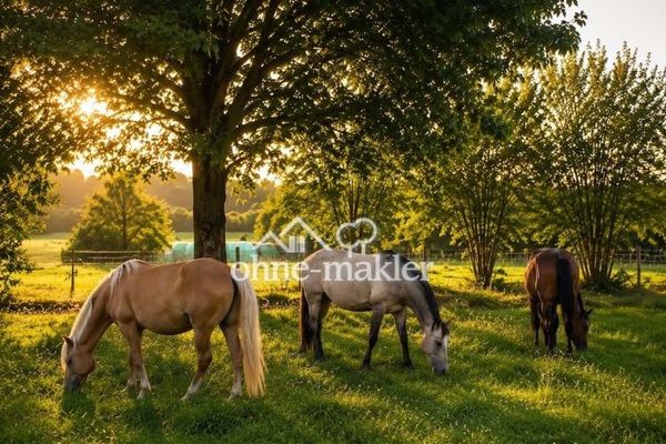 Außergewöhnliche Reitanlage mit Erweiterungspotential, Reithalle und Weitblick in der Pfalz