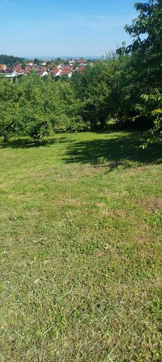 Terreno per il tempo libero top con splendida vista, casetta da giardino, area barbecue, acqua, alberi da frutto e da noce – Photo 9