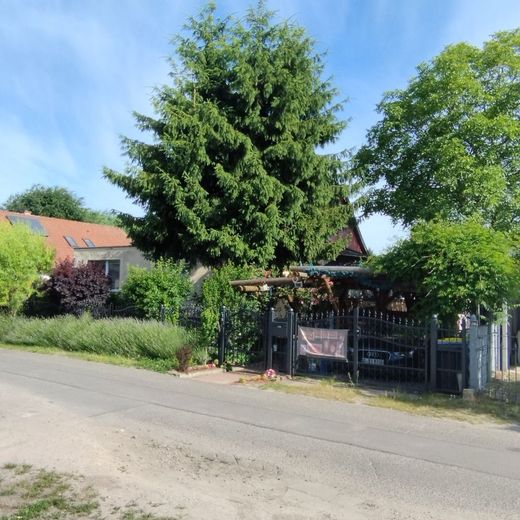 Verkauf Haus mit Grundstück im Grünen in Berlin – Straßenansicht links