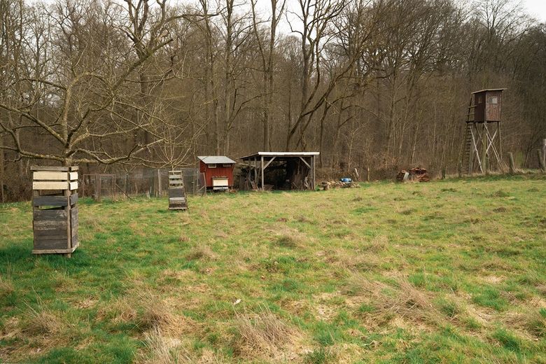Waldrand‑Forsthaus mit Einliegerwohnung, Scheune & 5.920 m² Grundstück – Effizienzklasse B – Foto 10