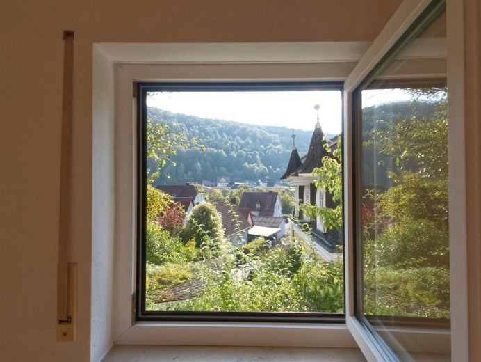 Provisionsfreie 3,5-Zimmer-Terrassenwohnung mit Einbauküche & Ausblick ins Grüne | Muggendorf – Ausblick aus dem Wohnzimmerfen