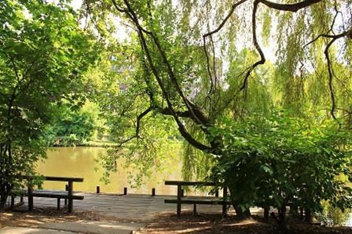 Das Wasser plätschert  vor der Tür  -  Enten, Schwäne schwimmen im Goldbekkanal - Wasserblick! – Foto 2