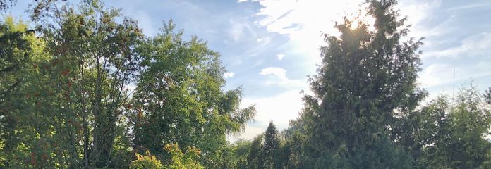 Terrasse ruhige Westlage