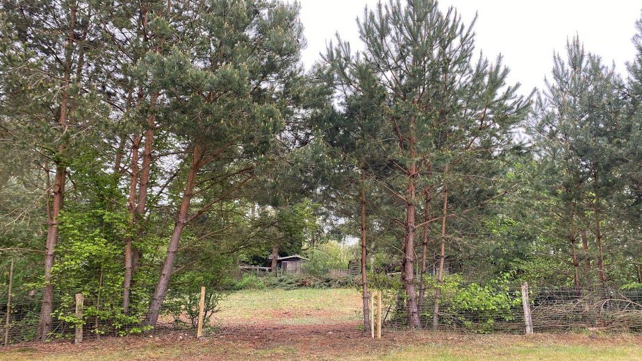 1.254 m² Baugrundstück nahe Stechlinsee – teilbar , ruhige Lage (provisionsfrei) – Foto 10