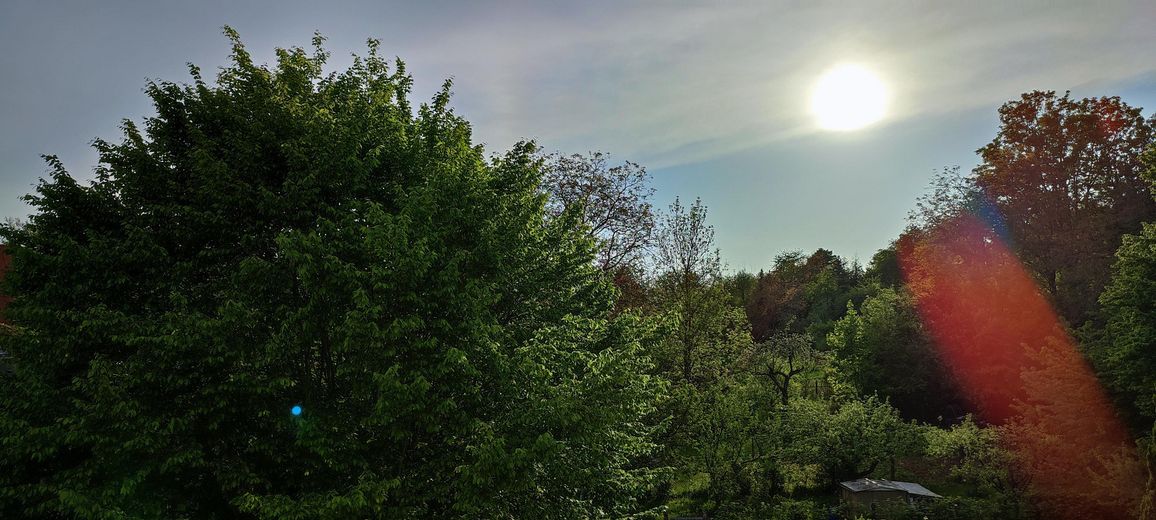 Balkon ausblick