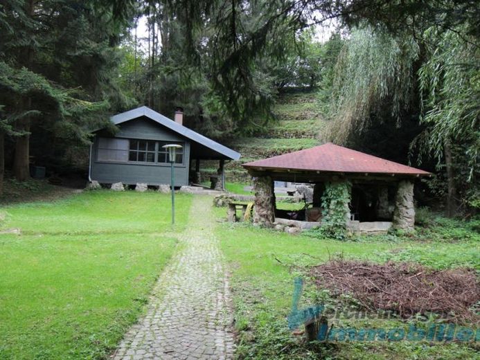 Liebhaberobjekt Nähe Vilshofen in traumhafter Lage mit Freizeithütte und Fischteiche*** – Foto 1