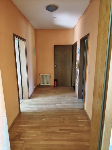 Gemütliche 2-Zimmer-Wohnung in verkehrsgünstiger Lage von Essen-Katernberg zu vermieten – Foto 3