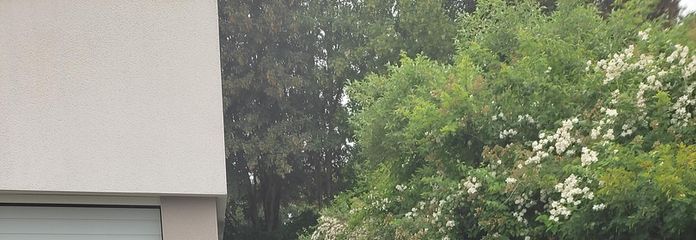 Zugang von der Berliner Straße