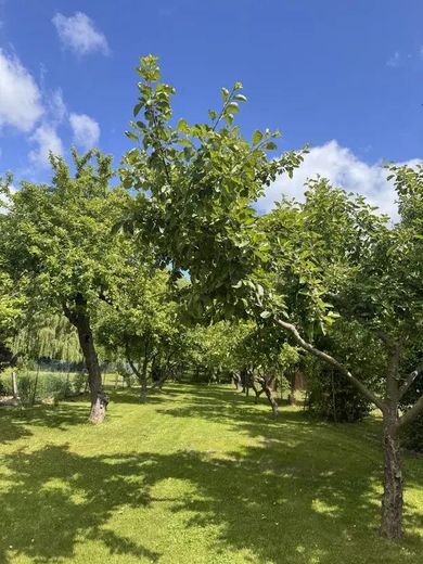 Gepflegte Immobilie in Massivbauweise mit weitläufigem Garten & vielen Nebengebäuden (ohne Makler) – Foto 19