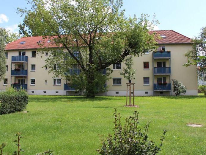 Ruhig, Grün und doch Zentral - Wohnen in der Pausitzer Delle – Foto 1