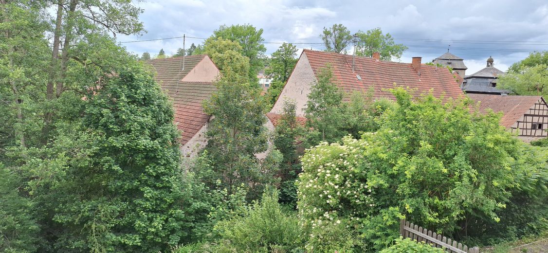 Wohnen am Schloßgarten im idyllischem Burgpreppach – Aussicht zum Dorf