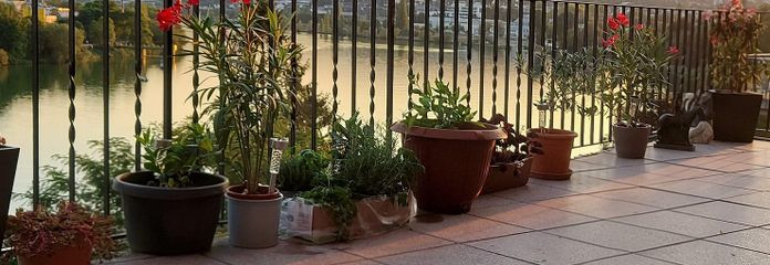 Ruim woonjuweel met onbelemmerd panoramisch uitzicht op de Moezel op een toplocatie – Balkon