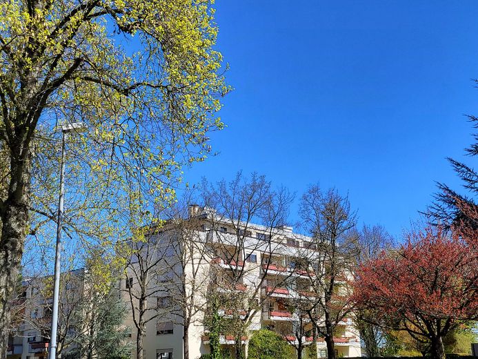 Vorderansicht