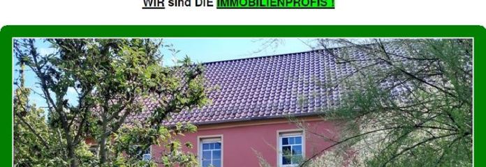 *** Platz ohne Ende? Fast. Vierseitenhof mit 8 Zimmern, 2 Küchen, 4 Bädern, Scheune, Stallungen, Badeteich u.m. und 6.725 m² Grundstück ***