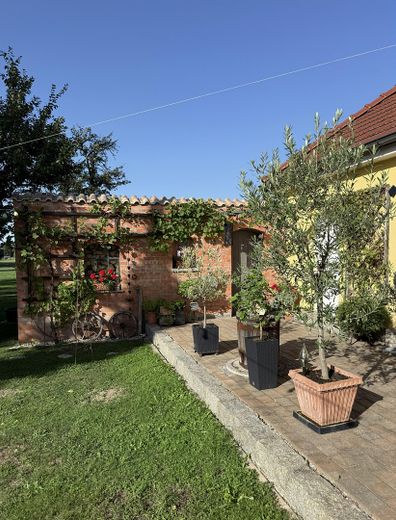 Ekskluzywna nieruchomość nad rzeką Neufnach – przestronne mieszkanie na działce o powierzchni ok. 1700 m² – Terrasse/ Gartenbereich