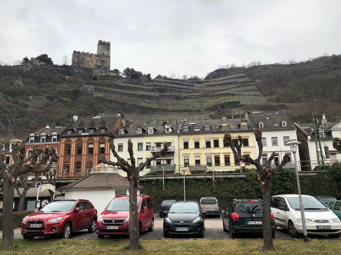 Blick vom Rhein aufs Haus