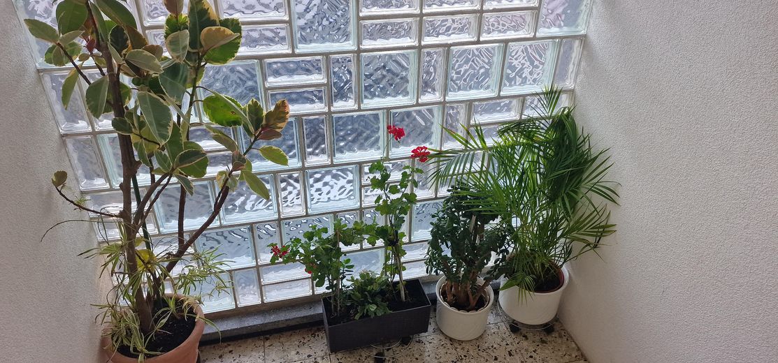 Dachterrassenwohnung – Foto 6