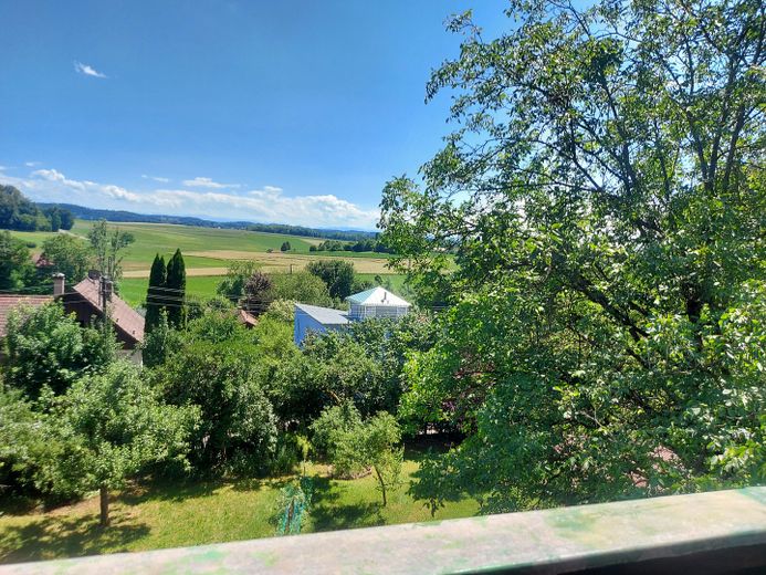 Beautiful single-family house with a very large garden – Balkon