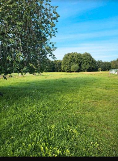 Einfamilienhaus mit großem Grundstück – Garten 