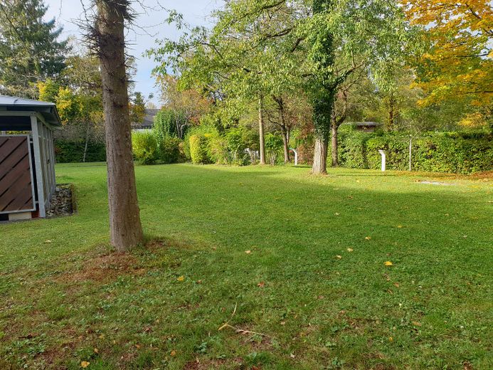 Grüner Gemeinschaftsgarten