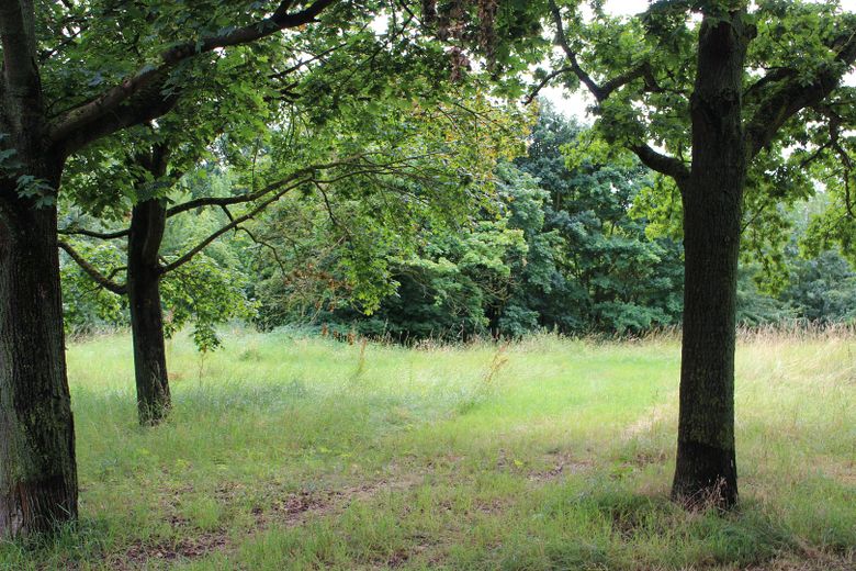 Hannover Teraslı Evinde 3 Kat Üzerine Yayılmış Muhteşem 4 Odalı Daire – Grünflächen am Haus