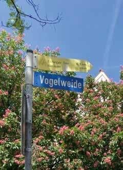 Vogelweide