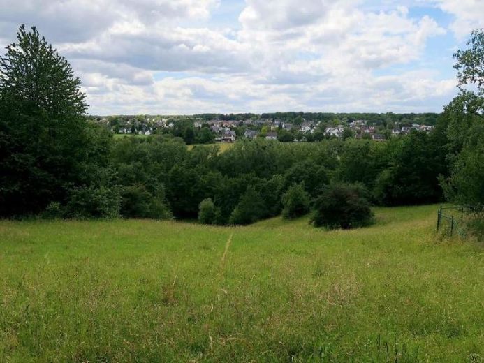 Großes Baugrundstück Ruhiglage Bonn-Ippendorf Liebhaberobjekt direkte Naturlage unverbaubarer Blick – Foto 1