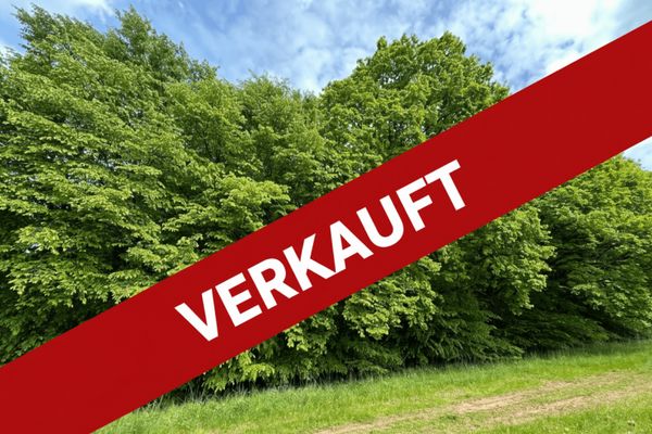 Waldkappel'de ağaç yoğunluğu yüksek yaprak döken orman / 0,7 ha