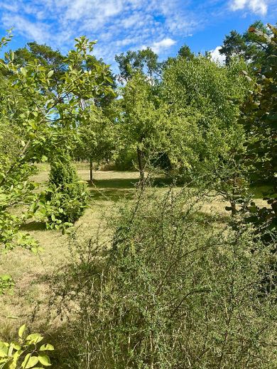 traumhaftes Bauland am Naturschutzgebiet – Foto 5
