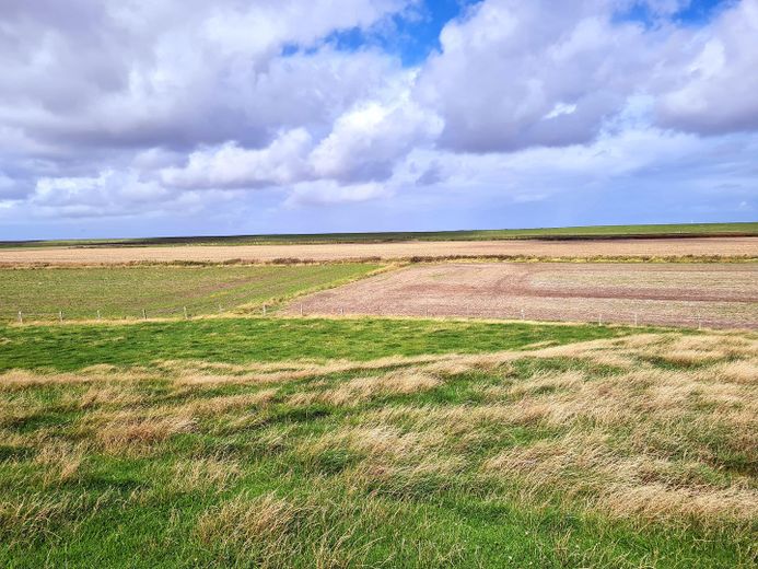 Casa di campagna con tetto di paglia in posizione assolutamente isolata – Landschaftsblick
