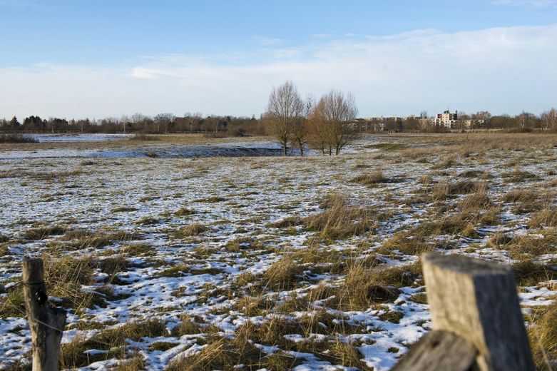 Haus im Bungalowstil als Fertigbau mit Pool, Nebengelass und großem Grundstück – Umgebung