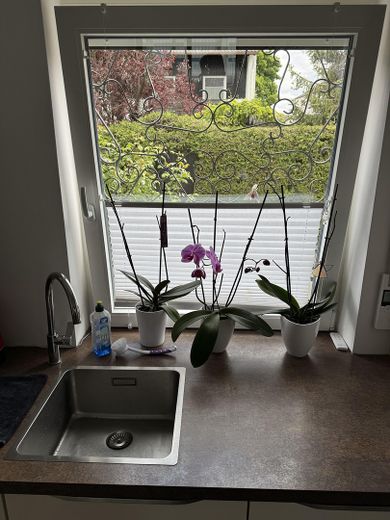 Blick aus Küche 