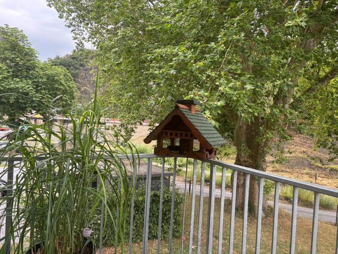 Traumhaft gelegene Eigentumswohnung in Altenahr direkt an der Ahr – Aussicht Balkon