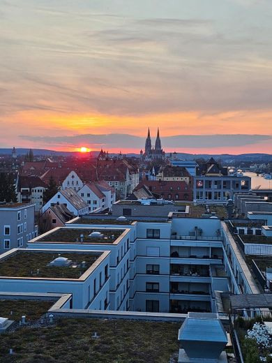 Aussicht vom Dachgarten