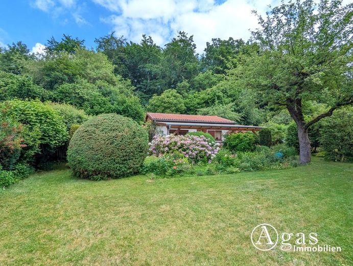 Wohnen im Grünen - Charmantes Haus auf sonnigem Waldgrundstück in Melchow – Garten
