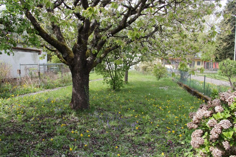 Pflanz- und Obstgarten