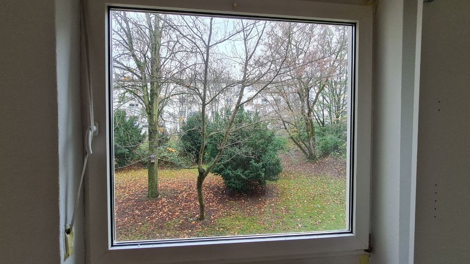 Büro 2 Ausblick zum Garten