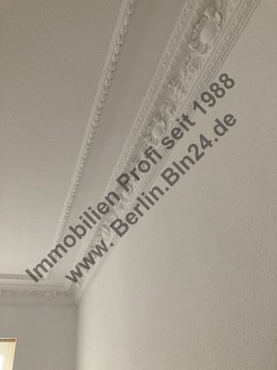 Schöner Stuck im Wohnzimmer