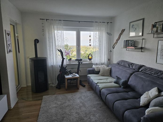 Einfamilienhaus in traumhafter Lage mit Panoramablick auf Bodensee und Schweizer Berglandschaft – Wohnzimmerund Pelletofen 