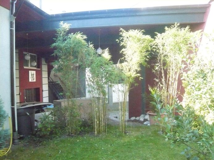 Garten&Zufahrt im Hintergrund